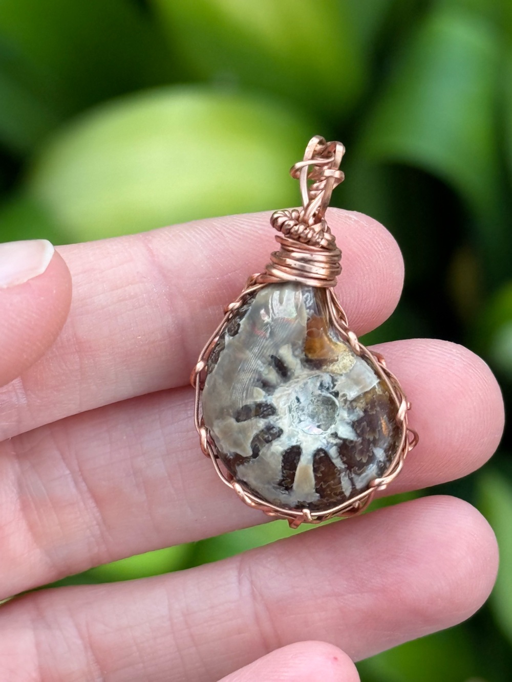 Handmade Copper Wire Wrapped Ammonite Fossil Pendant in Brown and Cream